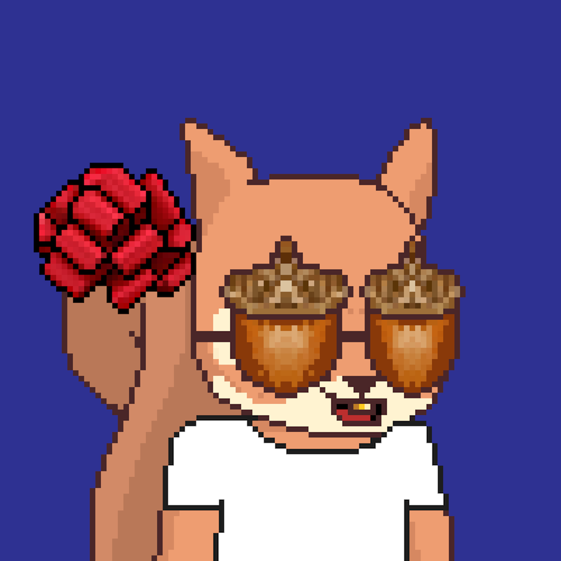 Pixel Squirrels #5941